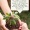 earth day celebration at camden