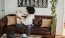 a person sitting on a couch with a pet